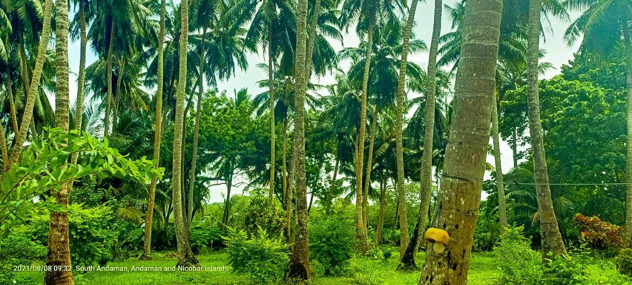 Отель The Kingdom, Havelock Govind Nagar Экстерьер фото